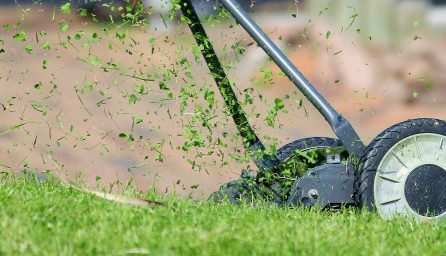 lawn mower 938555 1920
