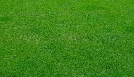 lawn 1509563643