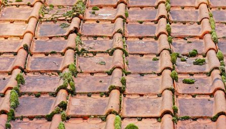 old roof 2703949 640