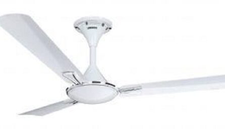 Smart Ceiling Fan