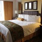 Cozy Accommodation