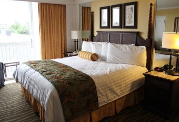 Cozy Accommodation