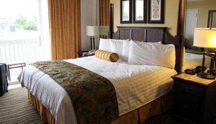 Cozy Accommodation