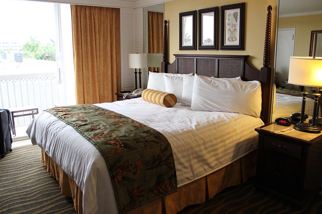 Cozy Accommodation